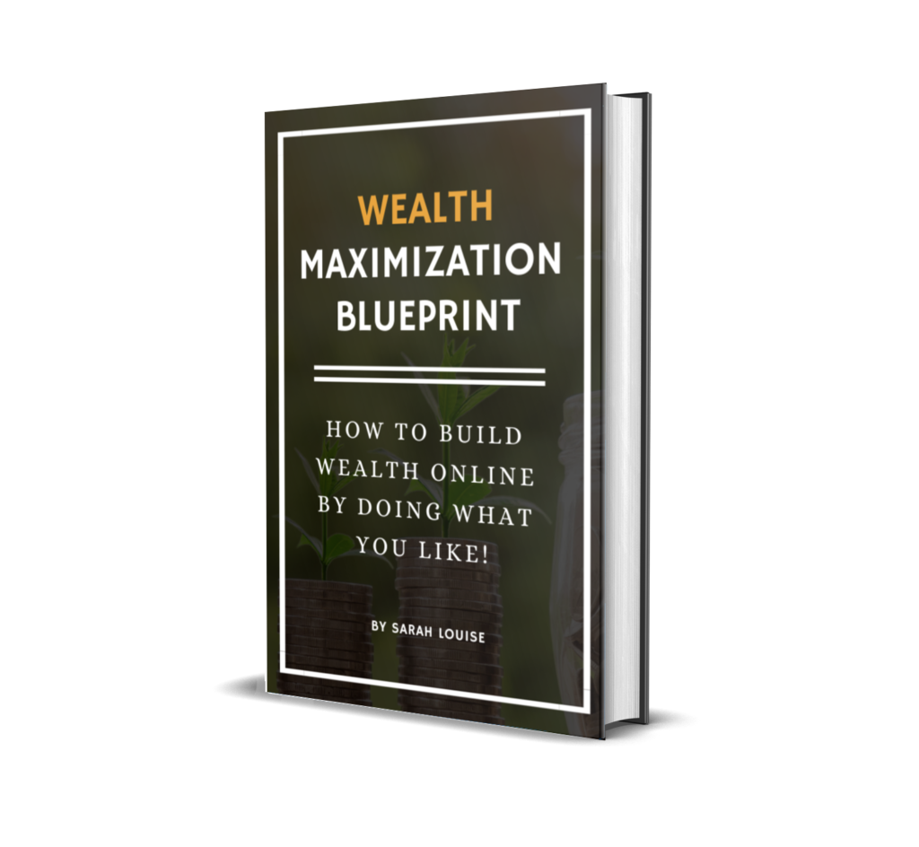 wealth maximization ebook